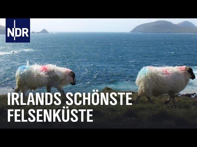 Magisches Dingle – Irlands Halbinsel am Ende der Welt | Nordseereport Spezial | NDR Doku