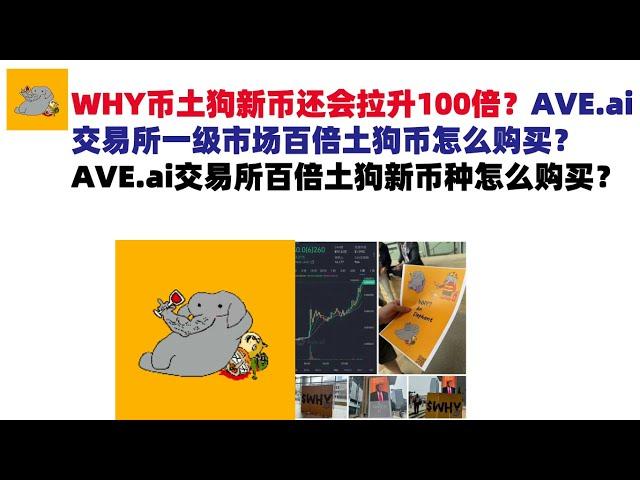 WHY币土狗新币还会拉升100倍？AVE.ai交易所一级市场百倍土狗币怎么购买？AVE.ai交易所百倍土狗新币种怎么购买？ave交易所|ave.ai交易所官网|ave官网AVEDEXave下载！