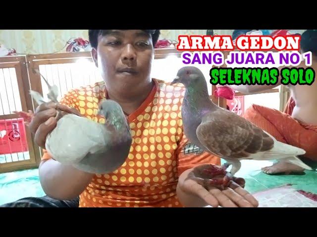 bongkar player sang juara no 1 seleknas arma gedon di nasional Solo Jawa Tengah 14 Jun 2024