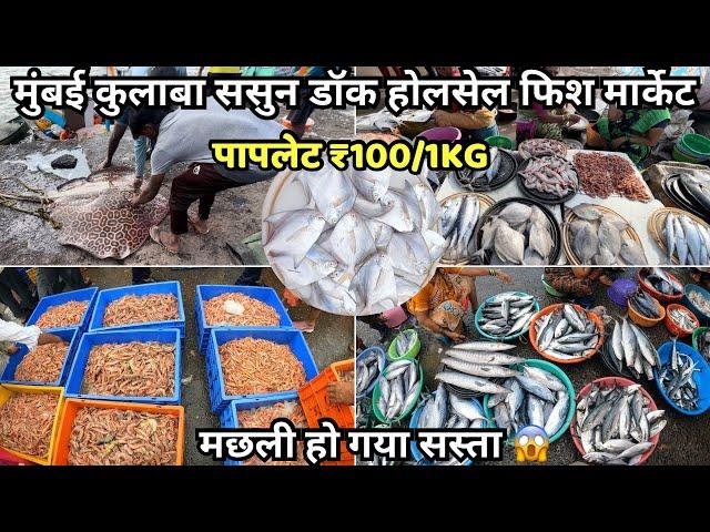 Sassoon Dock Fish Market Mumbai | Sassoon Dock Fish Market Latest Video | Colaba Fish Market Mumbai