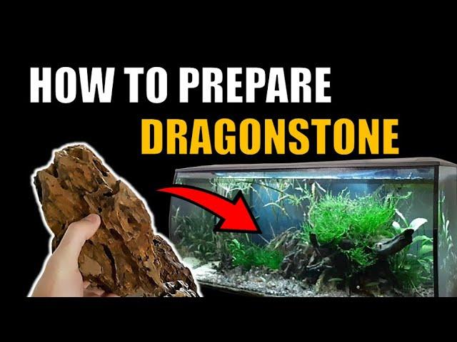 Preparing dragonstone rocks for your aquarium