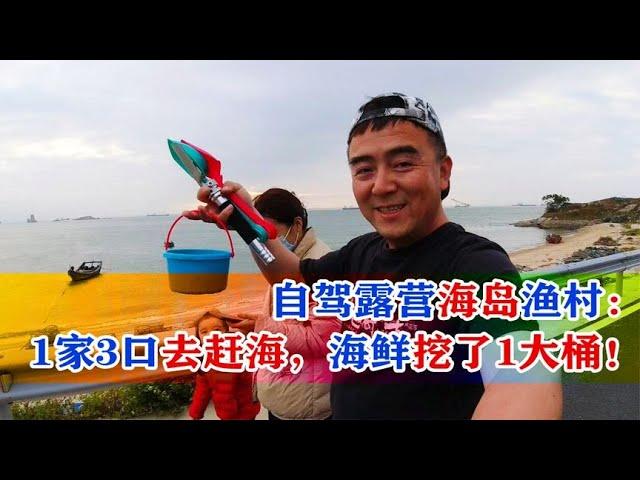 自驾露营海岛渔村：1家3口去赶海，海鲜挖了1大桶【跟着老杜去旅行】