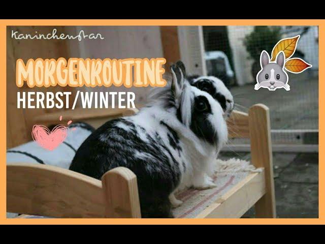 MORGENROUTINE bei den Kaninchen Herbst/Winter  | Kaninchenstar