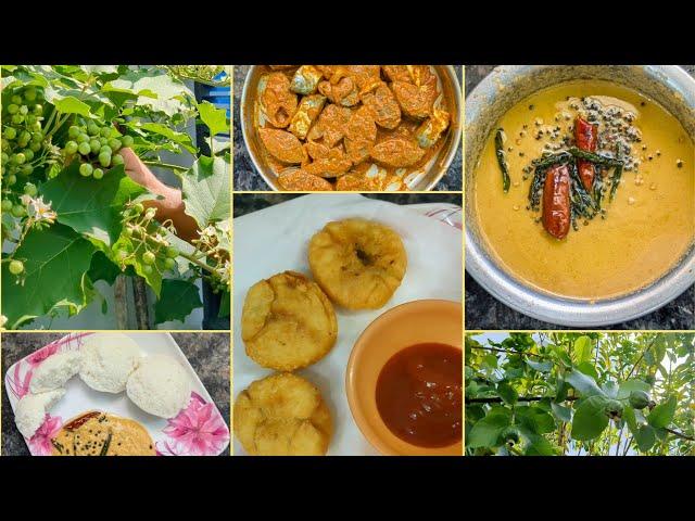 பச்சை சுண்டைக்காய் சட்னி | கச்சோரி மாலை ஸ்னாக்ஸ் | Sundaikai chutney  easy Evening Snacks