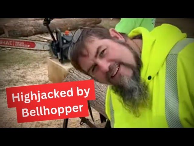 @bellhoppersaws took over the live when @goatsfirewoodandfarms1918  was helping.