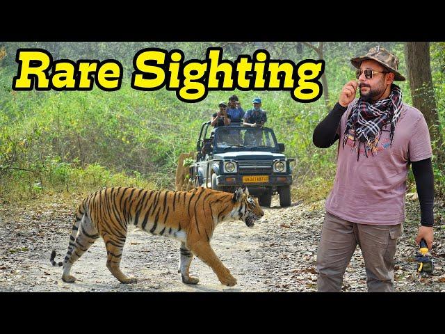 Tracking Tiger in Jim Corbett Jungle Safari Dhela Zone | Best Zone for Tiger Sighting in Jim Corbett