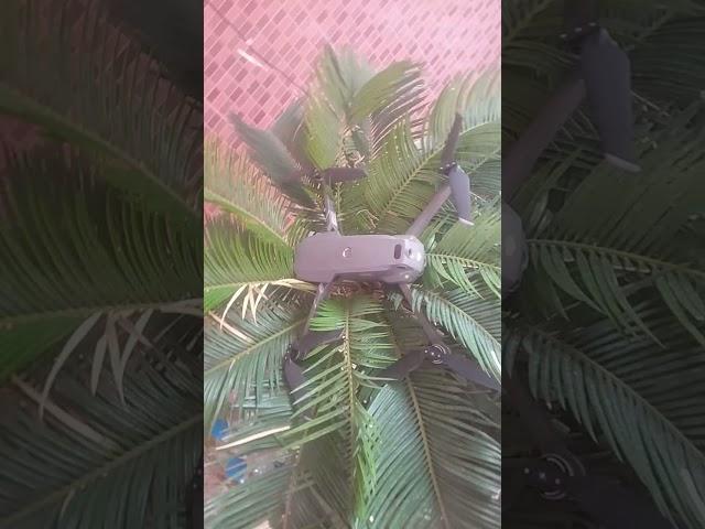 magic pro 2