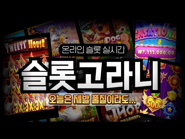 슬롯 실시간