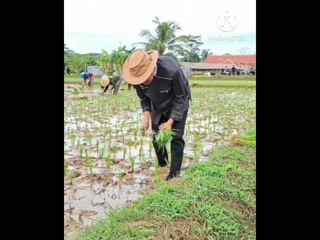 KANG DEDI MULYADI | GUBERNUR TERPILIH TAK BISA MELUPAKAN KEBIASAAN NANDUR ISTIMEWA#gubernurjawabarat