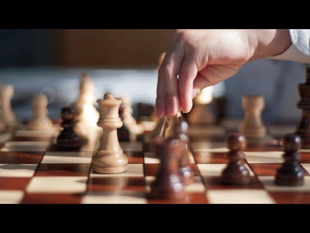 The Science of Chess: How to Improve Your Game