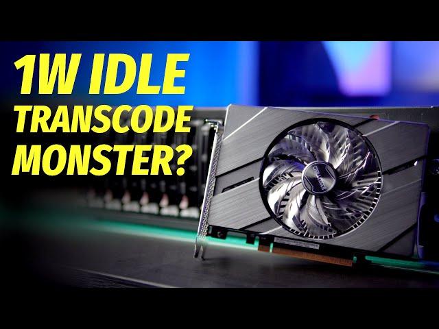 Should You Buy an Intel Arc for Your Media Server?