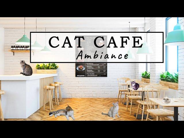 Cat Coffee Shop Ambience & Jazz Music - Cafe Music,Cat Sound,Relax Cafe ASMR - Relaxation,Study,Work