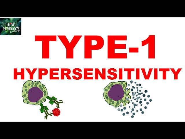 Type 1 Hypersensitivity | Anaphylaxis  | Pathogenesis | Clinical features