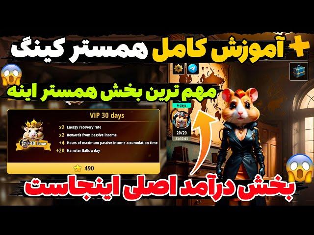 مهمترین بخش درآمد اصلی همستر کامبت مشخص شد آموزش کامل قسمت جدید همستر کینگفصل جدید Hamster Kombat