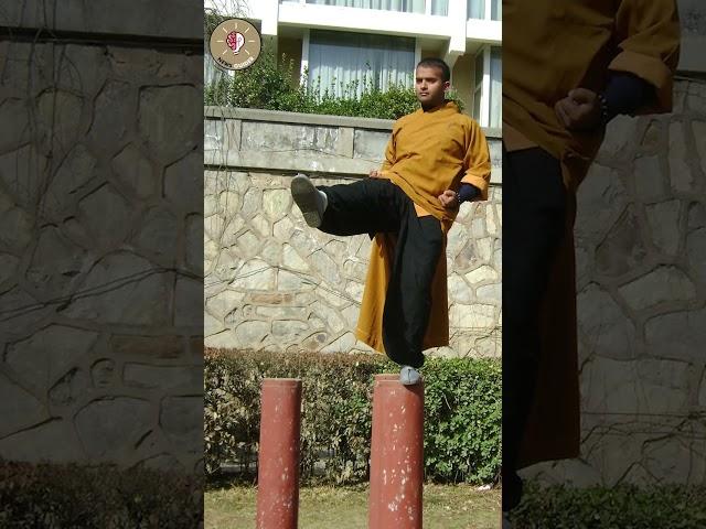 India's Shaolin Gurukul |  Part 2  #shorts