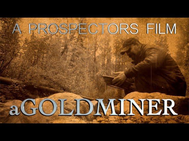 A Gold Miner