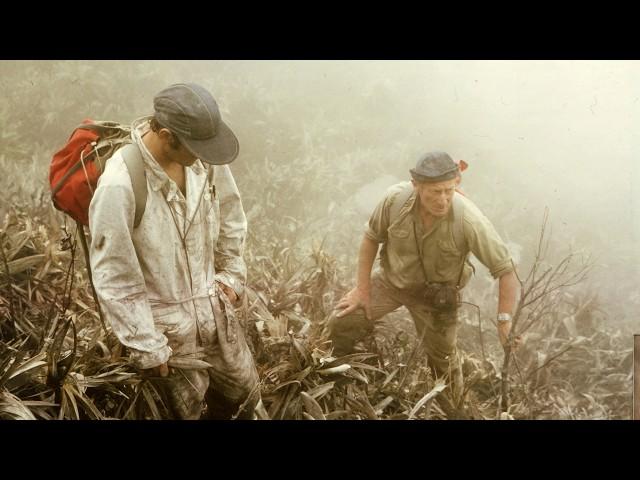 Your photos our story - Patrick Allard, an explosive adventure in Guadeloupe