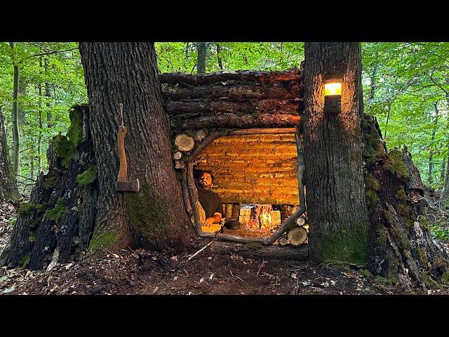 Bushcraft SURVIVAL Shelter; Building  Warm Natural Dugout and Fireplace. Tree House. Asmr Camping