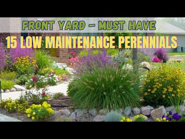 Front Yard Landscaping - Must Have Low Maintenance Perennials | Best Companion Plants For Front Yard