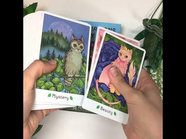 Affirmations of the Fairy Cats Unboxing!