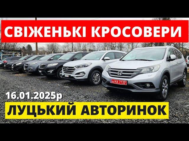 СВІЖІ ЦІНИ НА КРОСОВЕРИ / ЛУЦЬКИЙ АВТОРИНОК / 16.01.25р. #колоритмоторс #автопідбір #кросовери