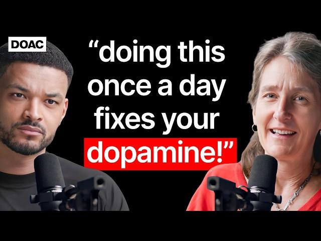 Dopamine Expert: Doing This Once A Day Fixes Your Dopamine! What Alcohol Is Doing To Your Brain!!