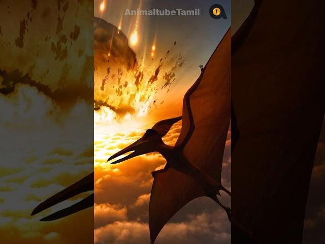 டைனோசர்களின் கடைசி நாள் | The Last Day of Dinosaurs | Animaltube Tamil