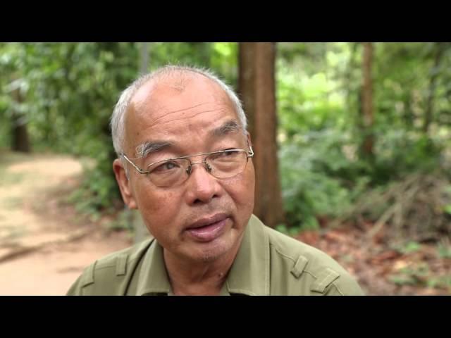 Вьетнам. Война. 16 выпуск (1080p HD) | Мир Наизнанку