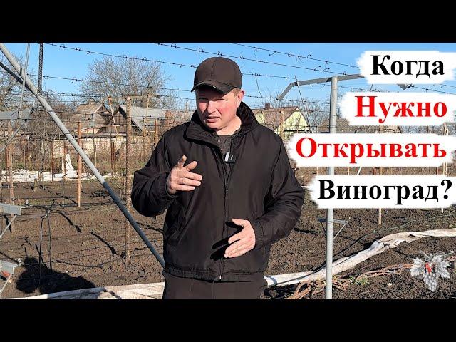 Когда НУЖНО ОТКРЫВАТЬ Виноград?