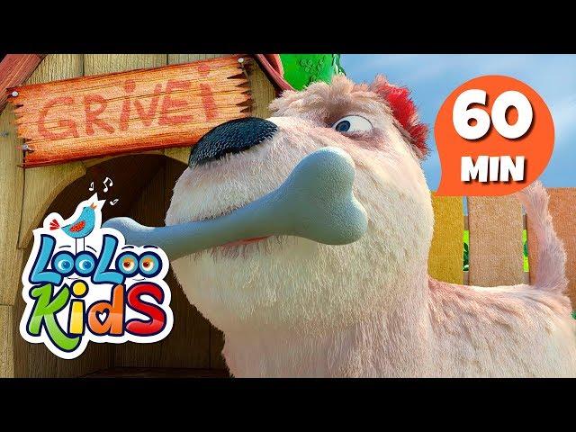 Rocky the Dog - S2EP49 Musical Adventure Collection - LooLoo Kids Songs for Kids