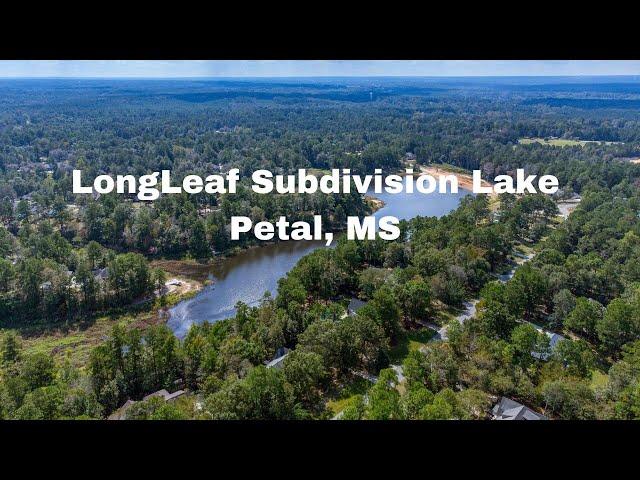 Longleaf Acres Subdivision Lake in Petal MS