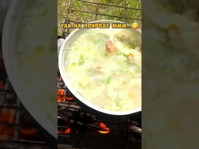 #shorts УХА НА РЫБАЛКЕ,что может быть вкуснее...