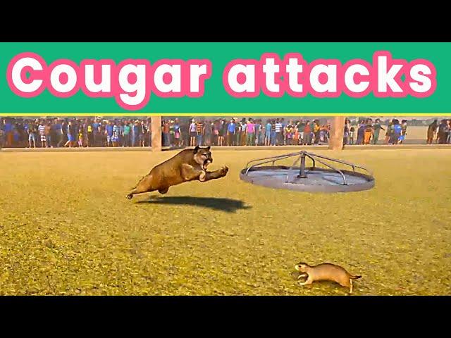 Planet Zoo: Cougar attacks and kills other animals