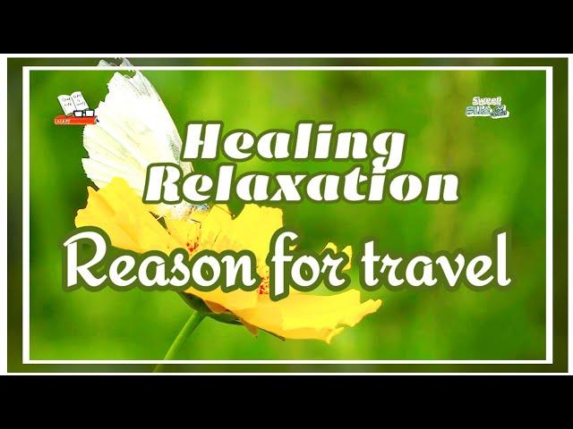 [#Healing_and_Relaxation]#Reason_for_travel #Lý_do_đi_du_lịch #旅行の理由 #旅行原因 #Sweet유니스부부_여행일기