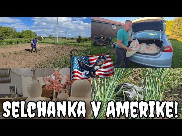 ЖИВУ В АМЕРИКЕ, САПАЮ КАРТОШКУ. ПОДАРОК ОТ ПОДРУГИ.