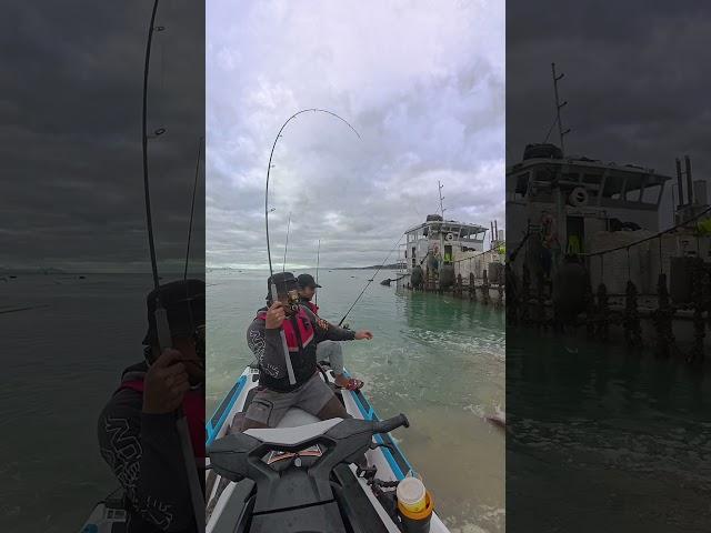 easy fish #jetski #kayakfishingtips #fishing #followers