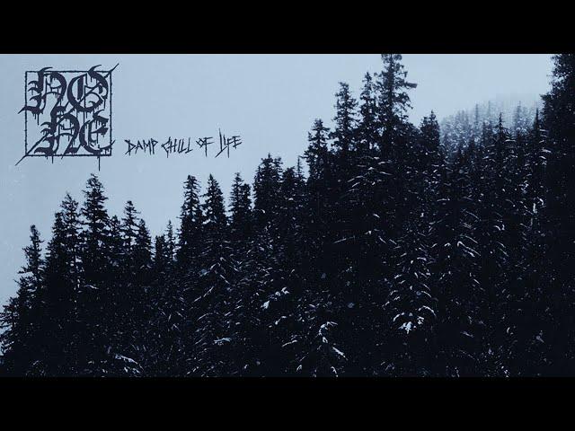 NONE - Damp Chill of Life [Full Album] (Depressive Black Metal)