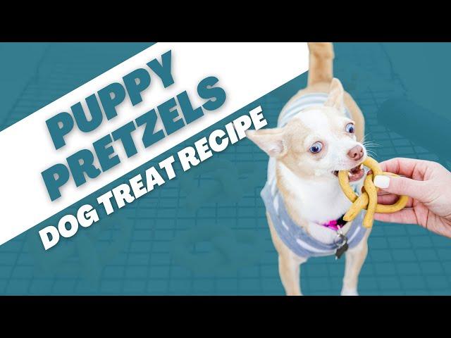 Puppy Pretzels: A Fun & Healthy Dog Treat Recipe | Proud Dog Mom