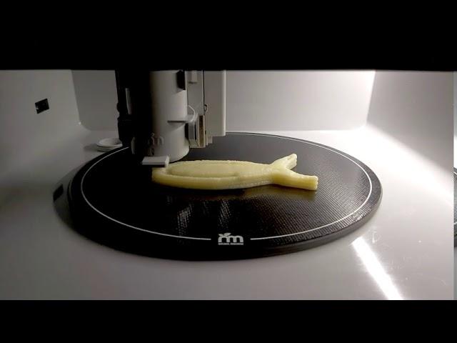 3D food printing with Foodini - Dysphagia application: fish test print