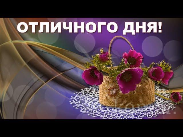 ХОРОШЕГО ДНЯ!  ОТЛИЧНОГО НАСТРОЕНИЯ!   komur