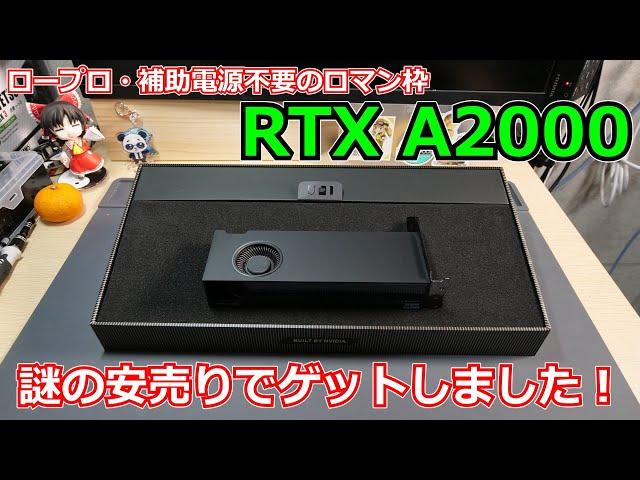 【グラボ】ロープロ・補助電源グラボの超ロマン枠！RTX A2000が何故かめっちゃお手頃価格に値引きされていたので実際に購入レビューしてみました！【RTXA2000】