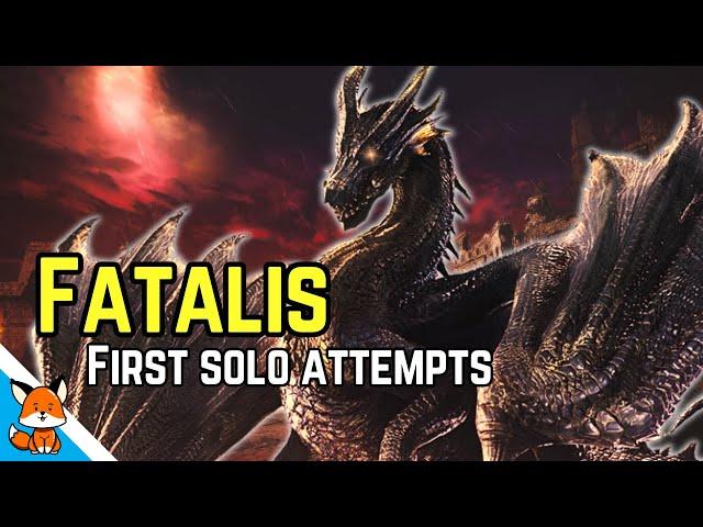 I was determined to take down Fatalis solo. I got carted over 50 times.