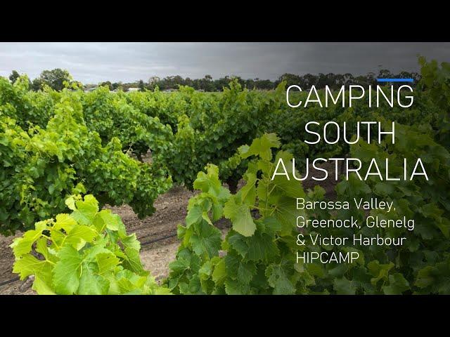 BAROSSA VALLEY FREE CAMP, Glenelg & Back Valley HIPCAMP