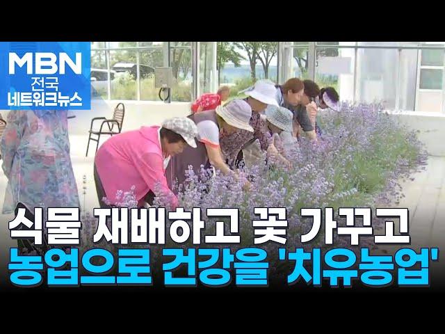 '농업의 진화' 몸과 마음 건강하게 치유농업 주목 [전국네트워크]