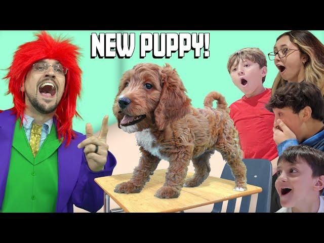 Our NEW Puppy's 1st Day of School! FV Family Golden Doodle Surprise (Yes, another Dog!)