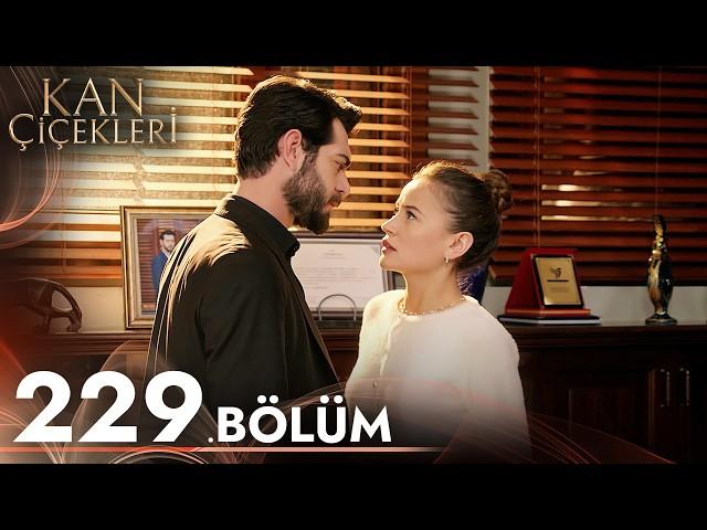 Kan Çiçekleri 229. Bölüm