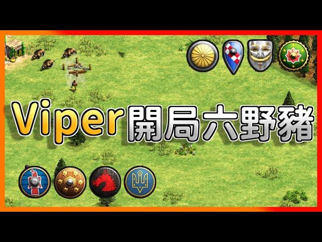 【世紀帝國2決定版】Viper黑森林開局被偷兩豬卻多了六頭野豬？團戰4vs4黑森林