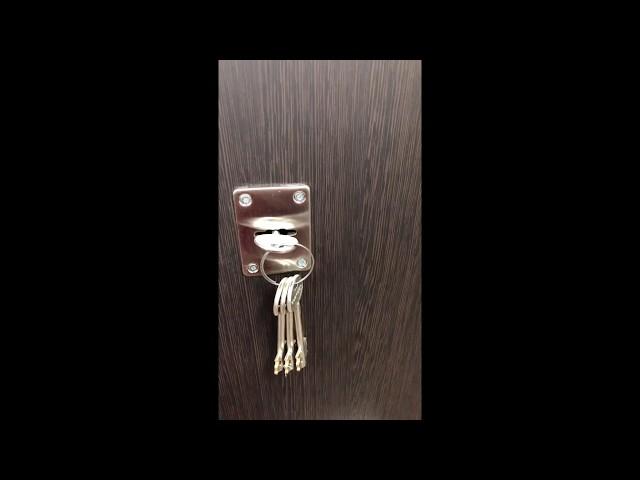 Входная дверь с зеркалом