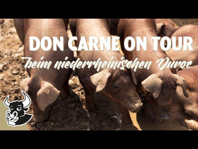 Das niederrheinische Duroc Schwein ️| DON CARNE ON TOUR