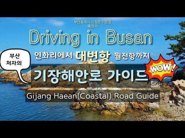 Driving in Busan/Korea/부산 기장군 연화리-대변항-월전항/기장해안도로 가이드